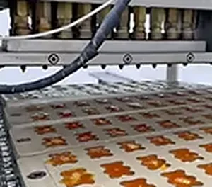 Gummies in moulds before demoulding